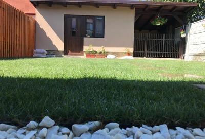 Casă cu 4 camere cu Teren 280 Mp în Dumbrăvița - 13