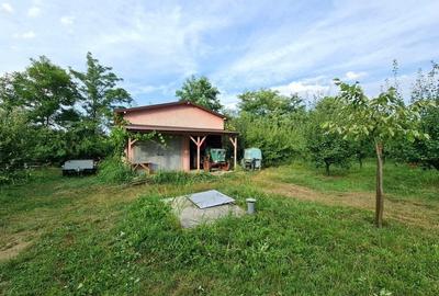 Vila + Afacere 15.000mp Clinceni - 2