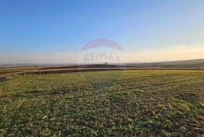 Teren agricol extravilan de 10152 mp, în Stroiești - 7