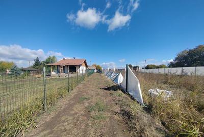 Gagu Dascalu teren ideal pentru investitie zona in dezvol... - 5