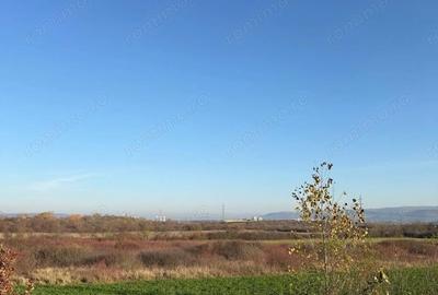 Teren de 18532 mp, în Gurasada - 5