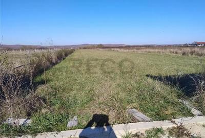 Teren de 5850 mp, în Oșorhei - 5