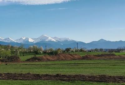 Teren de 6700 mp, în Sântămăria-Orlea - 6