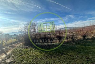 Teren intravilan 1100mp oportunitate spre vanzare in Rasinari - 6