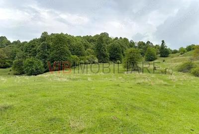 Teren de vanzare Breaza Nistoresti, Str. Muresului - 2