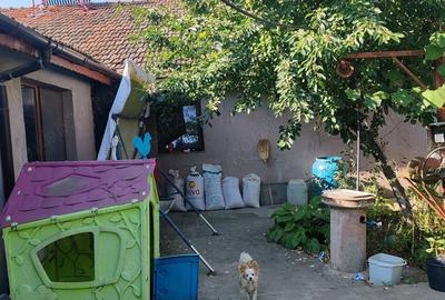 Casă cu 4 camere cu Teren 10000 Mp în Bârca - 1