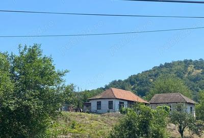 Teren + casa Hinova - 2