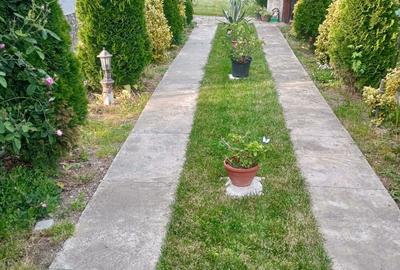 Vand casa in loc.livada - 8