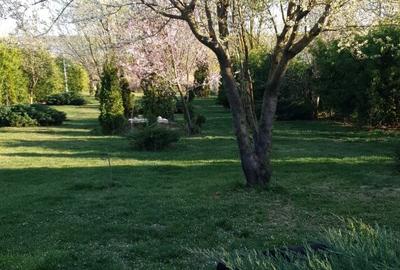 Casă individuală cu 6 camere cu Canalizare în Crevedia - 20