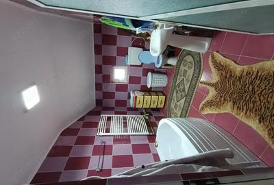 Casă cu 6 camere în Valu lui Traian - 8