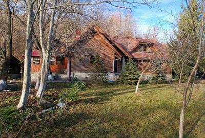 Proprietate deosebita,pe malul Teleajenului, de vanzare - 3