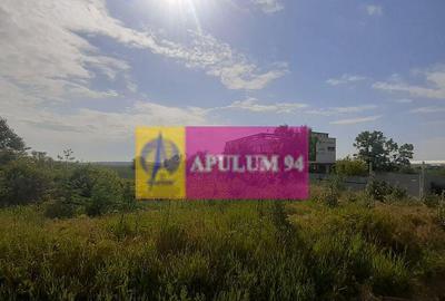 Teren de 2000 mp, în 1 Decembrie