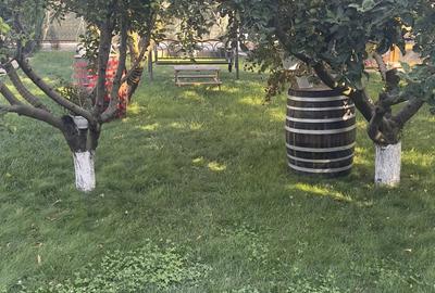 Vand casa ora? Giurgiu, drumul Amurgului Vand casa ora? Giurgiu, drumul Amurgului - 9