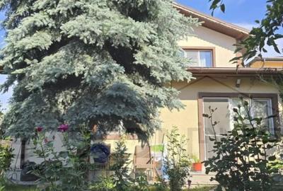 Vila Chiajna P 1,  suprafata utila de  182 mp, 5 camere, singur curte - 12