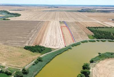 Teren de 6500 mp, în Frumușani - 6