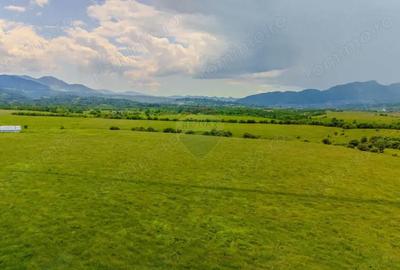 Teren de 10800 mp, în Râșnov - 5