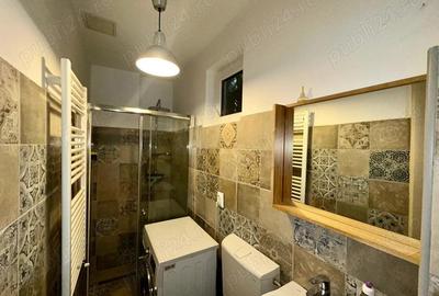 Icoanei - Ghiocei 2 camere in vila la parter 42 mp utili - 10