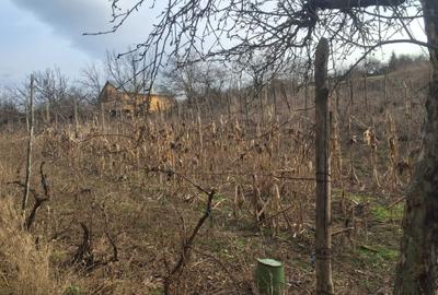 Casă cu 2 camere în Perieni - 1