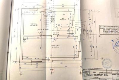 Casă cu 5 camere cu Teren 1340 Mp în Radu Negru - 4
