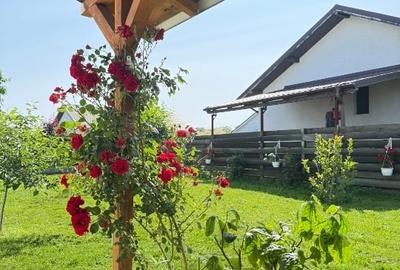 Casă individuală cu 4 camere cu Teren 422 Mp în Crevedia - 15