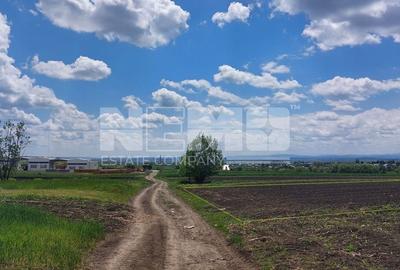 Teren de Vanzare 10.400 Mp I Stroiesti/3 Movile SuceavaI 100Euro/Mp - 2