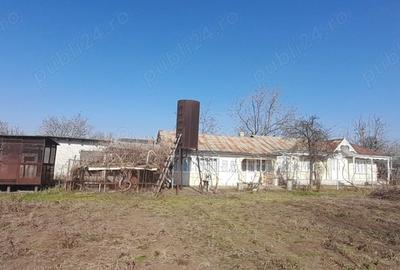 Casă cu 4 camere cu Teren 1934 Mp în Piscu - 6