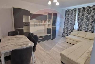 Apartament cu 2 camere str. Cornisa Bistritei, etj. 2, mobilat/utilat