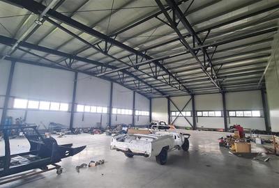 Spațiu industrial, de 880 mp, în Lugojului - 6