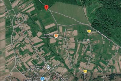 Teren de 2000 mp, în Mitocu Dragomirnei - 4