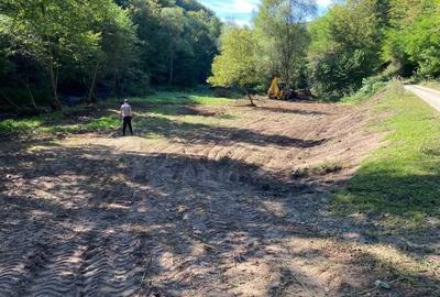 Domeniu de vinzare - 5