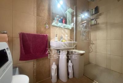 Casă individuală cu 5 camere cu Canalizare în Sânandrei - 10