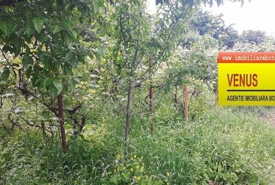 Teren Construcții intravilan de 550 mp, în Central