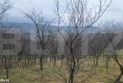 Teren în Schiulești - 3