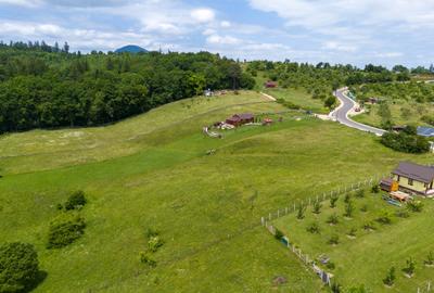 Teren cu potențial turistic în Vulcan BV– vedere panoramică - 18
