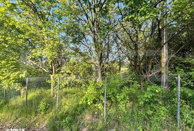 Spațiu comercial, în Central