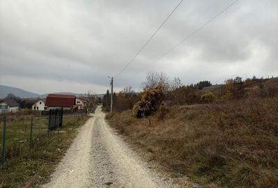 Spațiu comercial, în Ciurila - 6