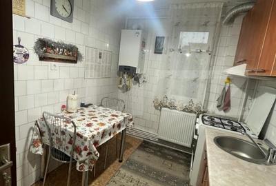 Apartament cu 3 camere semidecomandat, mobilat în Brazda lui Novac - 6