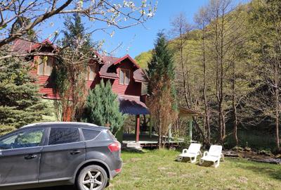 Casă cu 3 camere în Gura Râului - 5