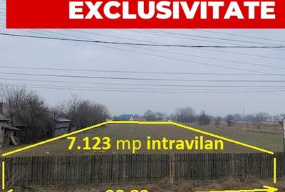 Teren de vanzare 7.123 mp intravilan, Buhusi - 9