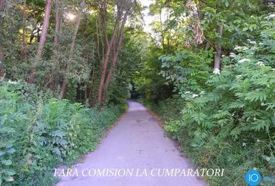 Teren de 6700 mp, în Central - 5