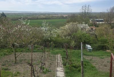 Casă cu 2 camere în Central
