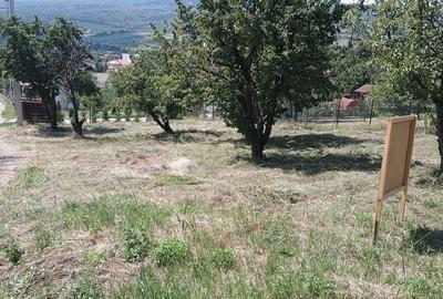 Teren de 3000 mp, în Chicerea