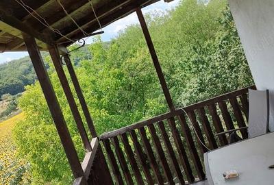 Casă cu 5 camere cu Teren 500 Mp în Mărăcineni - 3