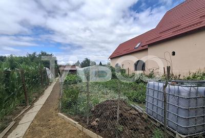 Doua case la pret de una teren 900 mp zona Turnisor - 13