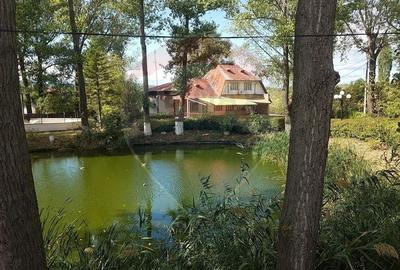 Spațiu comercial, de 1,700 mp, în Obrejița - 2