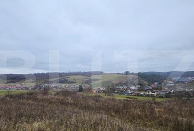 Teren intravilan 4756 mp de vanzare in Livezeni - 2