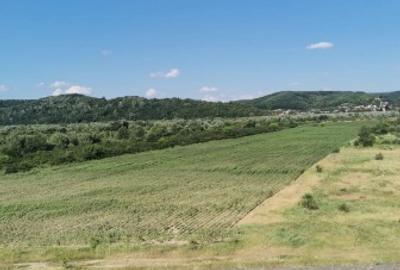 Teren Baraj Maracineni - 1