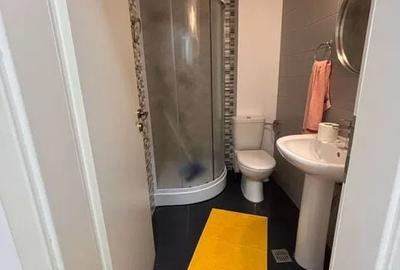 Apartament cu 3 camere, mobilat în Drumul Taberei - 8