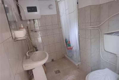 Casa de vanzare in Saliste aproape de Transalpina - 6