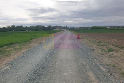 Teren în Măgurele - 15